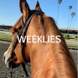 WEEKLIES 5/27/2026-6/1/2026